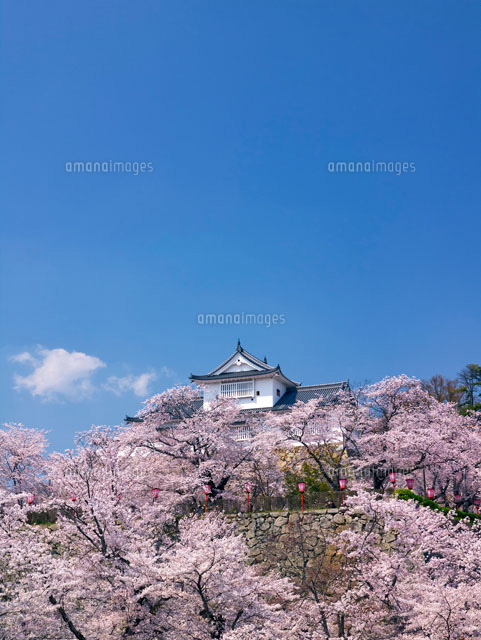桜咲く鶴山公園と備中櫓
(c)YOSHITSUGU NISHIGAKI/SEBUN PHOTO