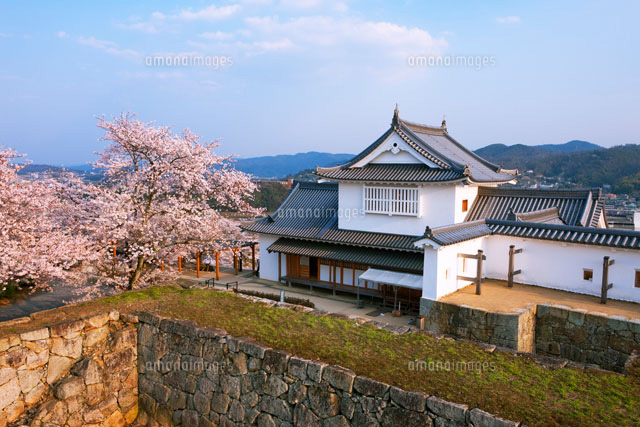 桜咲く鶴山公園と備中櫓夕景
(c)YOSHITSUGU NISHIGAKI/SEBUN PHOTO