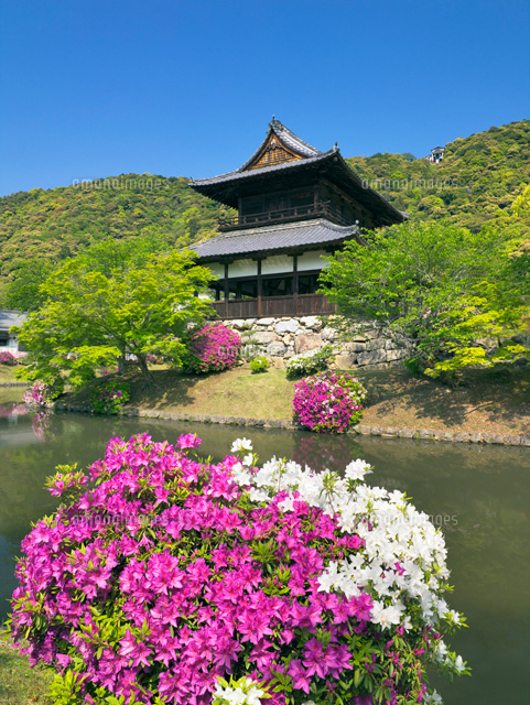 ツツジ咲く吉香公園と錦雲閣
(c)YOSHITSUGU NISHIGAKI/SEBUN PHOTO
