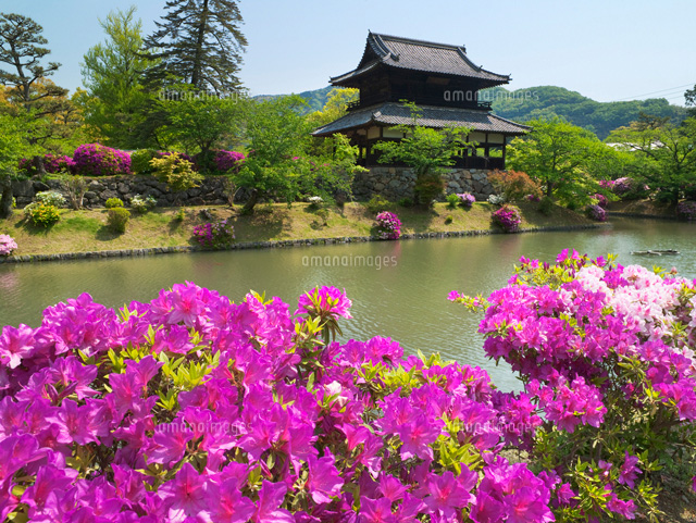 ツツジ咲く吉香公園と錦雲閣
(c)YOSHITSUGU NISHIGAKI/SEBUN PHOTO