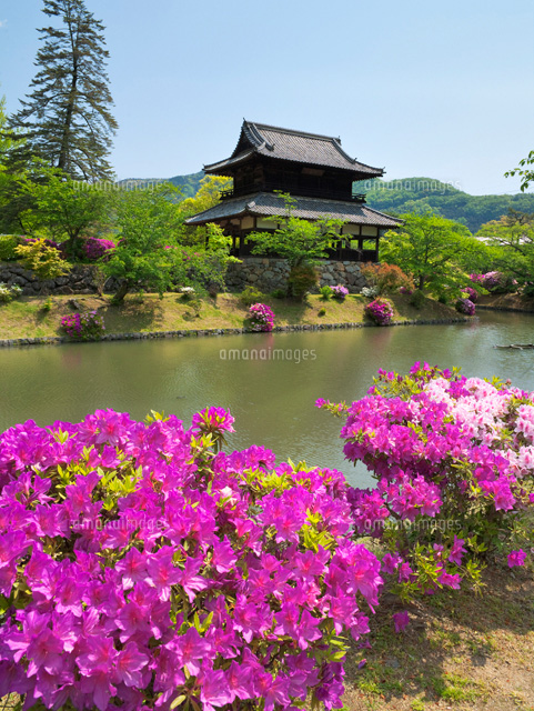ツツジ咲く吉香公園と錦雲閣
(c)YOSHITSUGU NISHIGAKI/SEBUN PHOTO