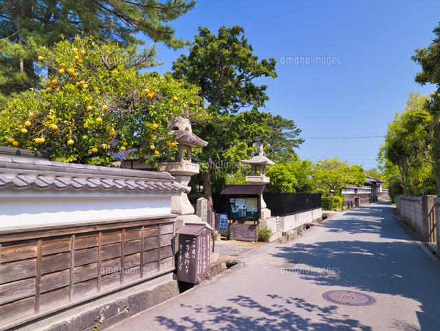 江戸屋横町
(c)YOSHITSUGU NISHIGAKI/SEBUN PHOTO