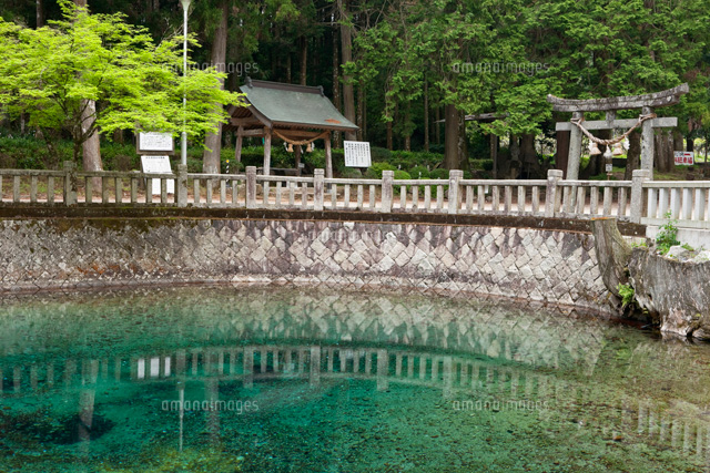 別府弁天池湧水
(c)YOSHITSUGU NISHIGAKI/SEBUN PHOTO