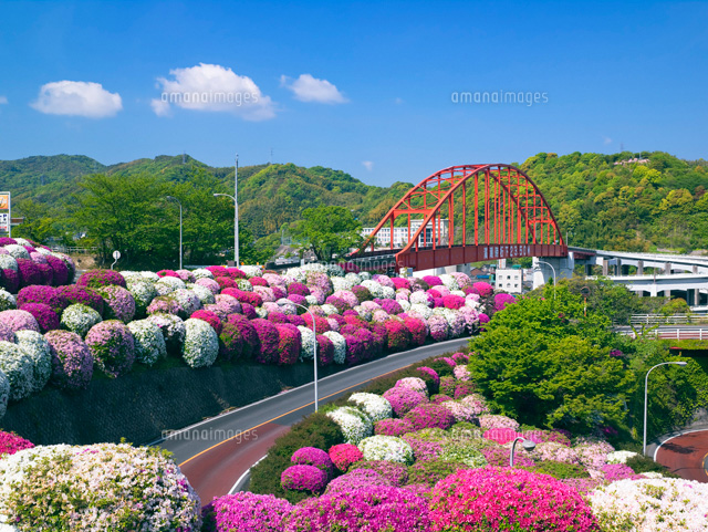 ツツジと音戸大橋 音戸ノ瀬戸公園
(c)YOSHITSUGU NISHIGAKI/SEBUN PHOTO