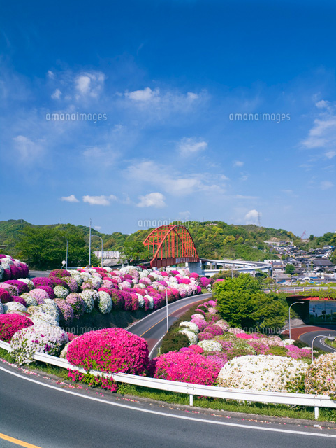 ツツジと音戸大橋 音戸ノ瀬戸公園
(c)YOSHITSUGU NISHIGAKI/SEBUN PHOTO