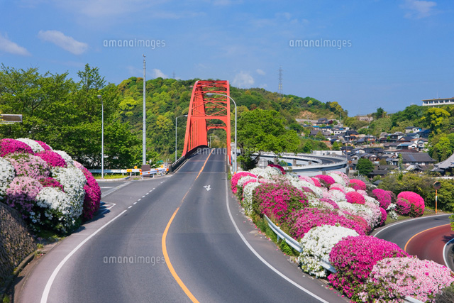 ツツジと音戸大橋 音戸ノ瀬戸公園
(c)YOSHITSUGU NISHIGAKI/SEBUN PHOTO