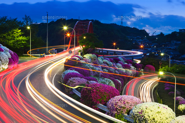 ツツジと音戸大橋夜景 音戸ノ瀬戸公園
(c)YOSHITSUGU NISHIGAKI/SEBUN PHOTO