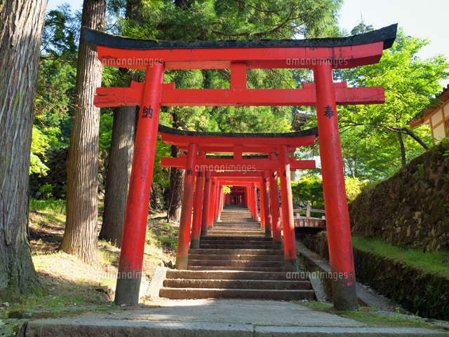 出石城跡 鳥居
(c)YOSHITSUGU NISHIGAKI/SEBUN PHOTO