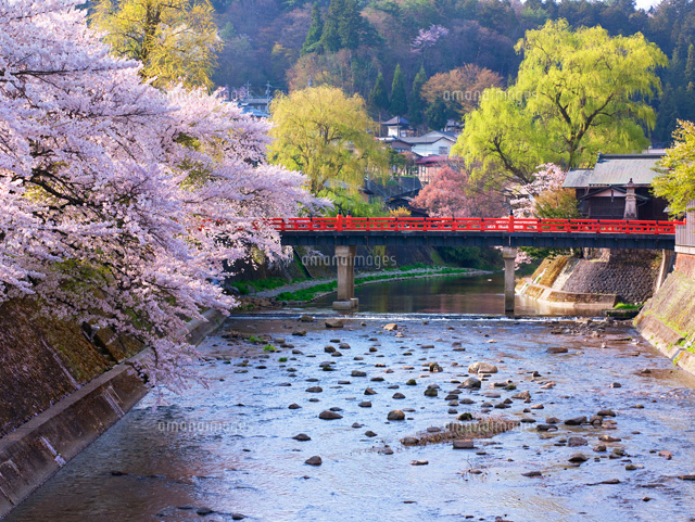 桜咲く宮川と中橋
(c)YOSHITSUGU NISHIGAKI/SEBUN PHOTO
