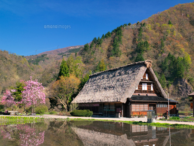 春の五箇山 菅沼集落
(c)YOSHITSUGU NISHIGAKI/SEBUN PHOTO