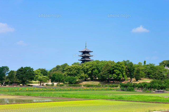 田園と備中国分寺五重塔
(c)YOSHITSUGU NISHIGAKI/SEBUN PHOTO