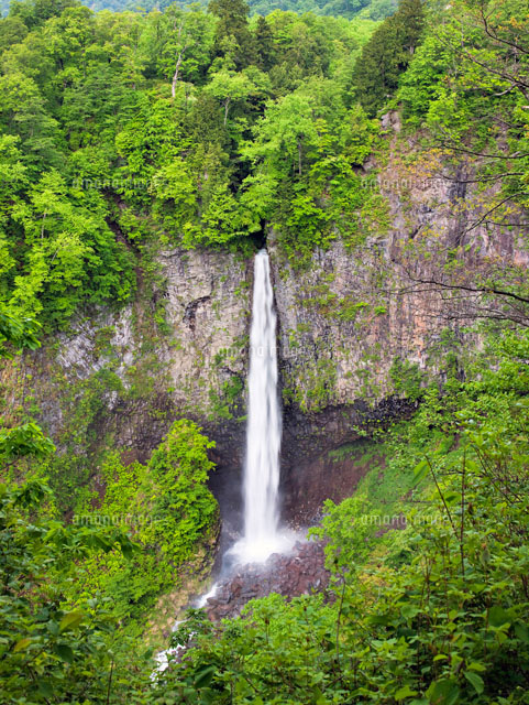 新緑の白水滝
(c)YOSHITSUGU NISHIGAKI/SEBUN PHOTO