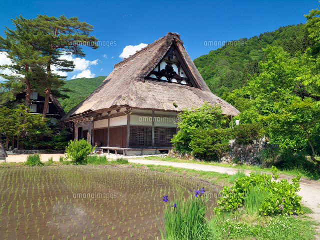 白川郷明善寺
(c)YOSHITSUGU NISHIGAKI/SEBUN PHOTO