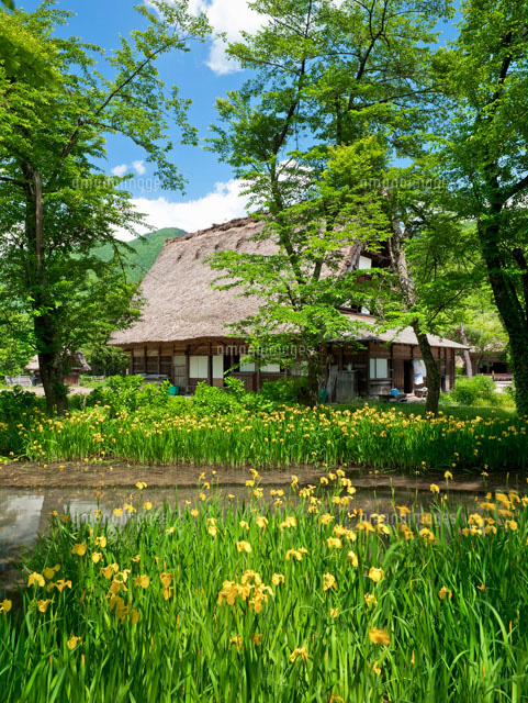 白川郷合掌集落
(c)YOSHITSUGU NISHIGAKI/SEBUN PHOTO