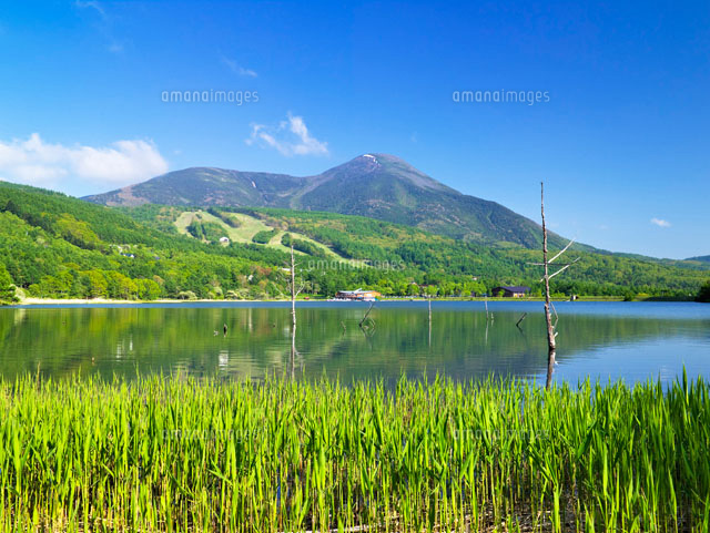 女神湖と蓼科山
(c)YOSHITSUGU NISHIGAKI/SEBUN PHOTO