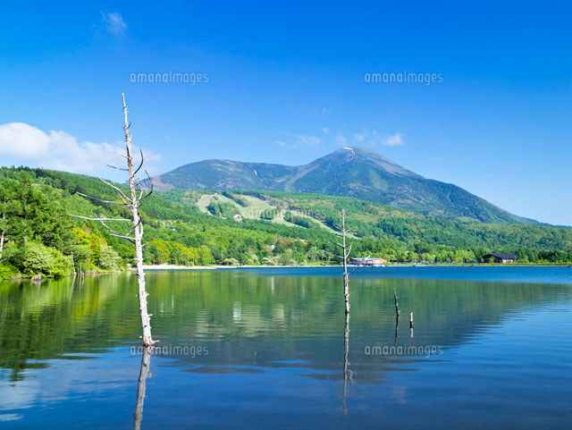 女神湖と蓼科山
(c)YOSHITSUGU NISHIGAKI/SEBUN PHOTO