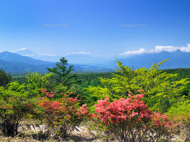 ツツジ咲く美しの森と南アルプスと富士山
(c)YOSHITSUGU NISHIGAKI/SEBUN PHOTO