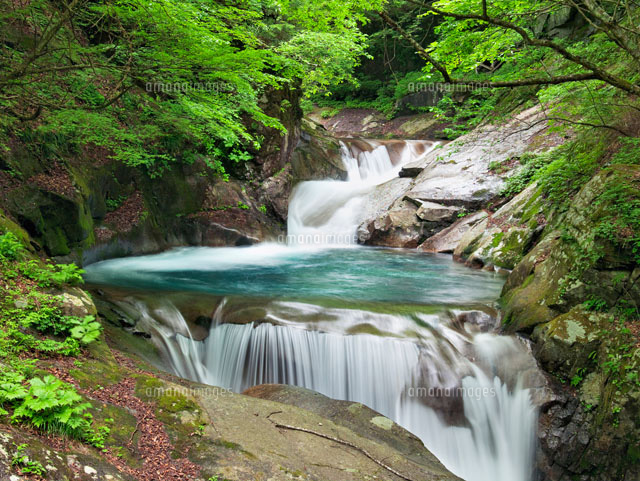 新緑の三段の滝 西沢渓谷
(c)YOSHITSUGU NISHIGAKI/SEBUN PHOTO