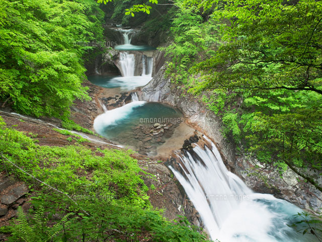 新緑の七ツ釜五段の滝 西沢渓谷
(c)YOSHITSUGU NISHIGAKI/SEBUN PHOTO
