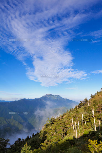 朝の瓶ヶ森より石鎚山
(c)YOSHITSUGU NISHIGAKI/SEBUN PHOTO