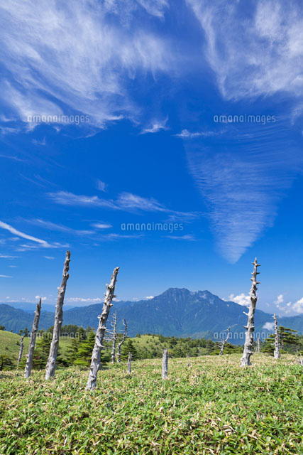 瓶ヶ森より石鎚山
(c)YOSHITSUGU NISHIGAKI/SEBUN PHOTO