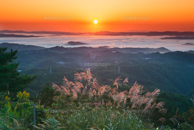 弥高山より望む雲海と日の出
(c)YOSHITSUGU NISHIGAKI/SEBUN PHOTO