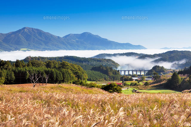 朝霧のススキと蒜山高原
(c)YOSHITSUGU NISHIGAKI/SEBUN PHOTO