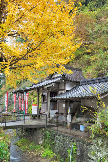 秋の羅漢寺 石見銀山
(c)YOSHITSUGU NISHIGAKI/SEBUN PHOTO