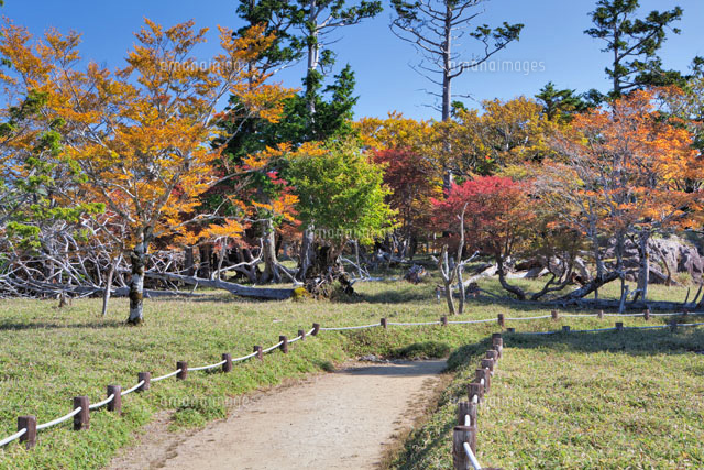 秋の大台ヶ原 牛石ヶ原
(c)YOSHITSUGU NISHIGAKI/SEBUN PHOTO
