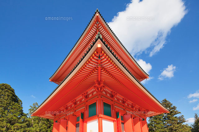 高野山 根本大塔
(c)YOSHITSUGU NISHIGAKI/SEBUN PHOTO