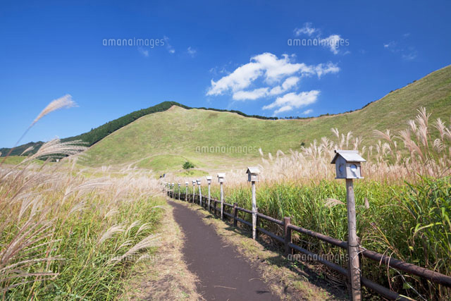ススキの曽爾高原と倶留尊山
(c)YOSHITSUGU NISHIGAKI/SEBUN PHOTO