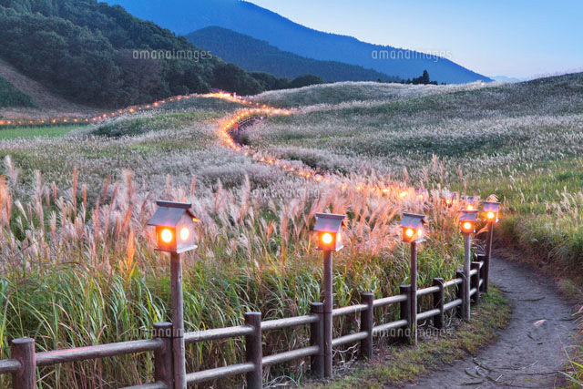 ススキの曽爾高原と夜景
(c)YOSHITSUGU NISHIGAKI/SEBUN PHOTO