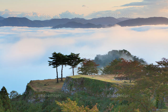 朝の雲海と竹田城跡
(c)YOSHITSUGU NISHIGAKI/SEBUN PHOTO