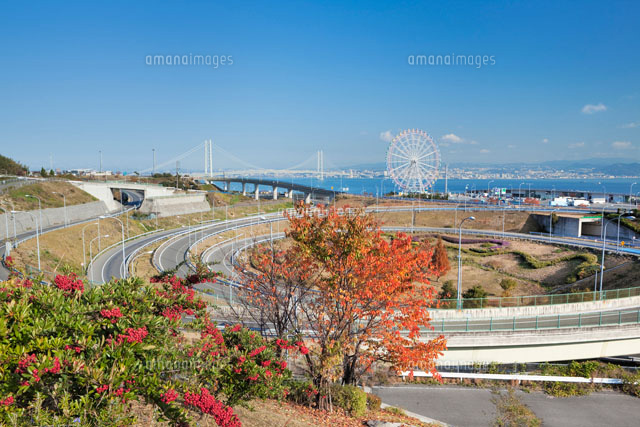 秋の淡路SAと明石海峡大橋
(c)YOSHITSUGU NISHIGAKI/SEBUN PHOTO