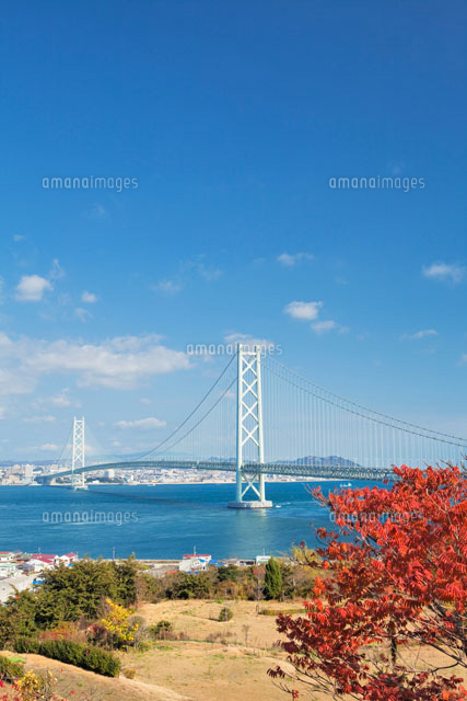 秋の淡路島より明石海峡大橋
(c)YOSHITSUGU NISHIGAKI/SEBUN PHOTO