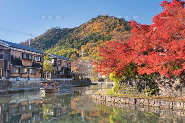 秋の八幡堀と八幡山
(c)YOSHITSUGU NISHIGAKI/SEBUN PHOTO