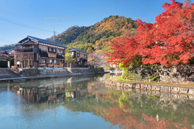 秋の八幡堀と八幡山
(c)YOSHITSUGU NISHIGAKI/SEBUN PHOTO