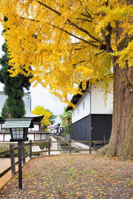 秋の飛騨古川の町並み
(c)YOSHITSUGU NISHIGAKI/SEBUN PHOTO