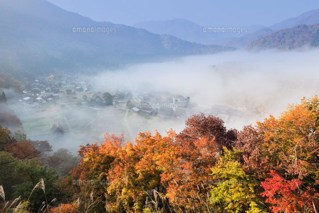 朝の雲海と白川郷合掌集落
(c)YOSHITSUGU NISHIGAKI/SEBUN PHOTO
