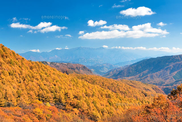 秋の御岳五合目付近より望む中央アルプス
(c)YOSHITSUGU NISHIGAKI/SEBUN PHOTO