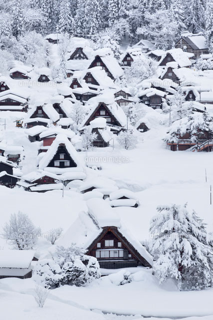 雪の白川郷
(c)YOSHITSUGU NISHIGAKI/SEBUN PHOTO