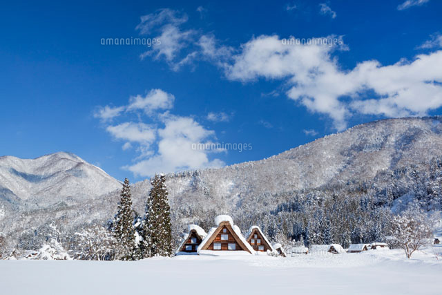雪の白川郷
(c)YOSHITSUGU NISHIGAKI/SEBUN PHOTO