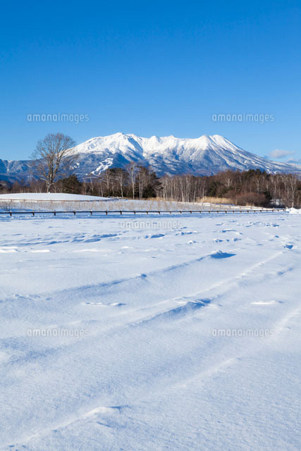 朝の開田高原と御岳
(c)YOSHITSUGU NISHIGAKI/SEBUN PHOTO