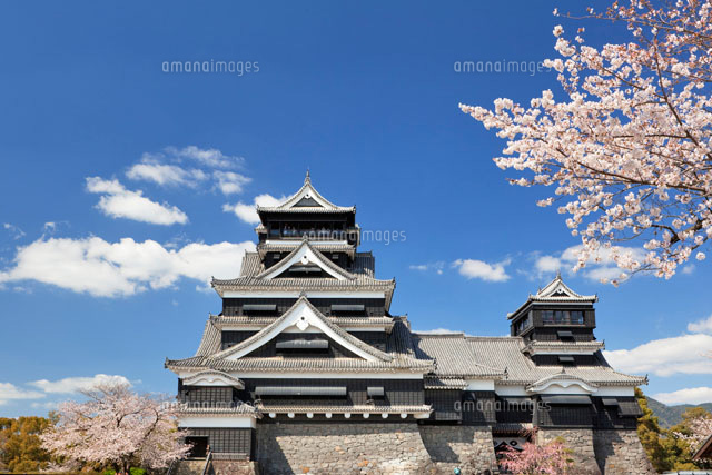 桜咲く熊本城
(c)YOSHITSUGU NISHIGAKI/SEBUN PHOTO