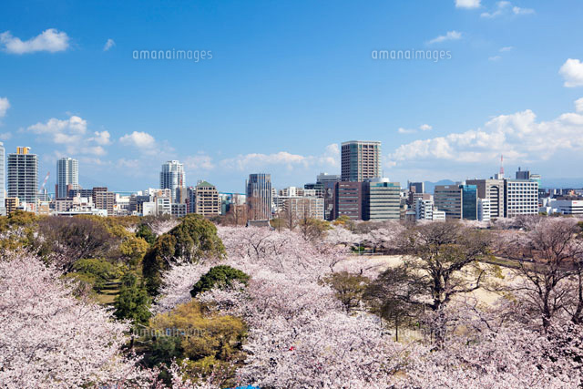 福岡城より望む桜咲く舞鶴公園と福岡市街
(c)YOSHITSUGU NISHIGAKI/SEBUN PHOTO