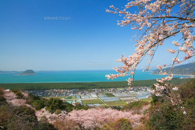 桜咲く鏡山より虹ノ松原
(c)YOSHITSUGU NISHIGAKI/SEBUN PHOTO