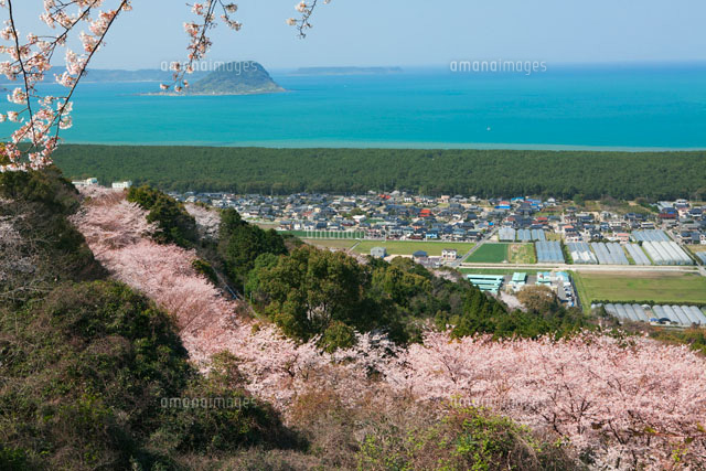 桜咲く鏡山より虹ノ松原
(c)YOSHITSUGU NISHIGAKI/SEBUN PHOTO