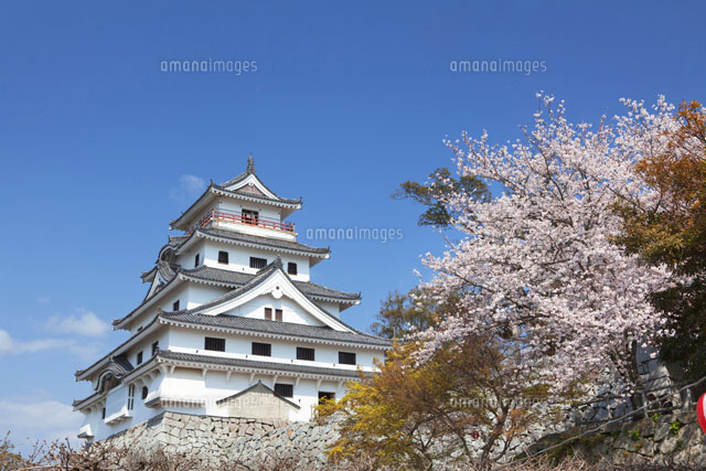 桜咲く唐津城
(c)YOSHITSUGU NISHIGAKI/SEBUN PHOTO