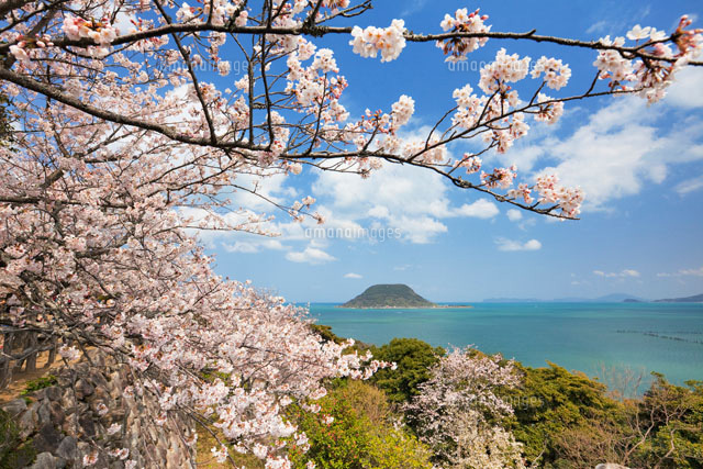桜咲く唐津城より望む高島
(c)YOSHITSUGU NISHIGAKI/SEBUN PHOTO