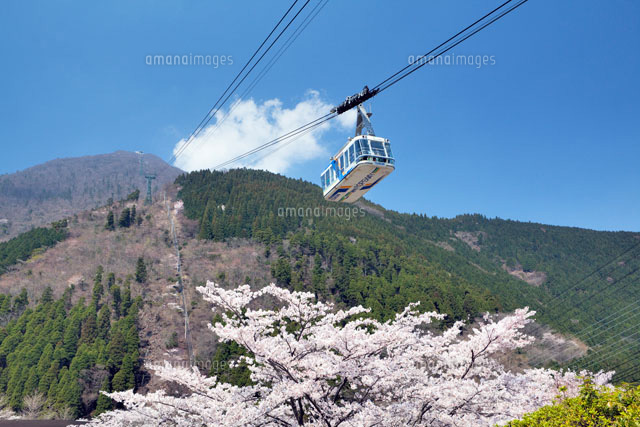 桜咲く別府ロープウェイと鶴見岳
(c)YOSHITSUGU NISHIGAKI/SEBUN PHOTO